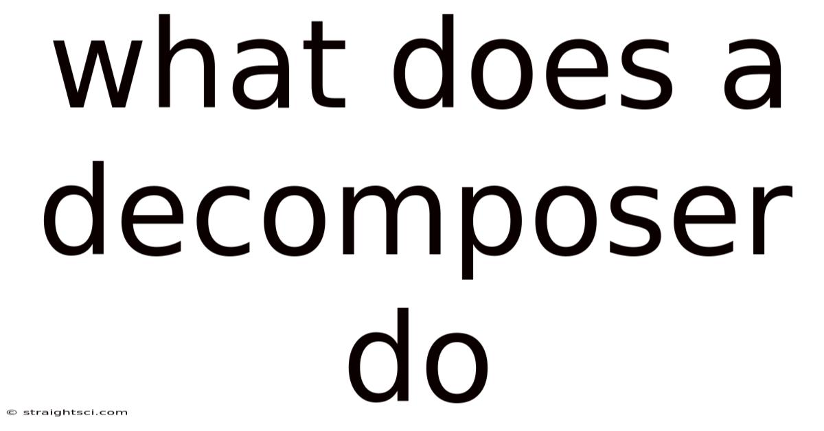 What Does A Decomposer Do