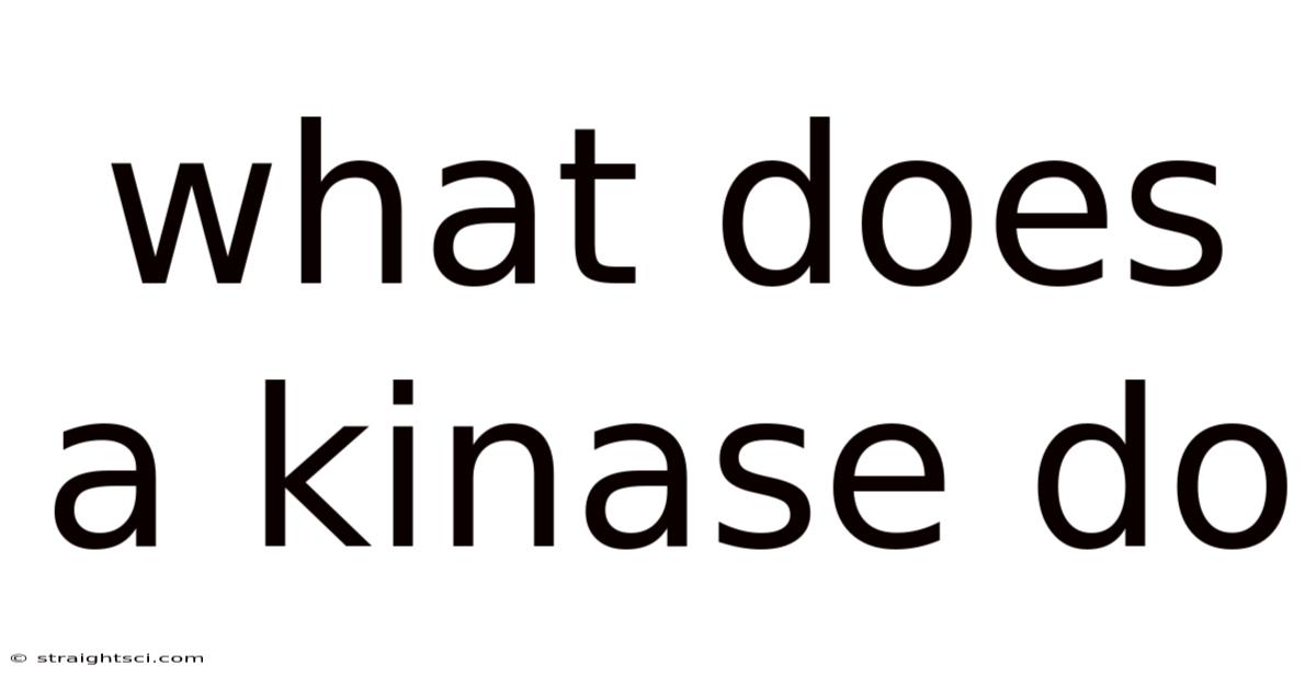 What Does A Kinase Do