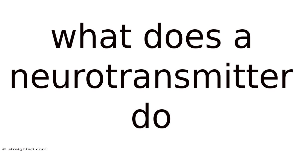 What Does A Neurotransmitter Do