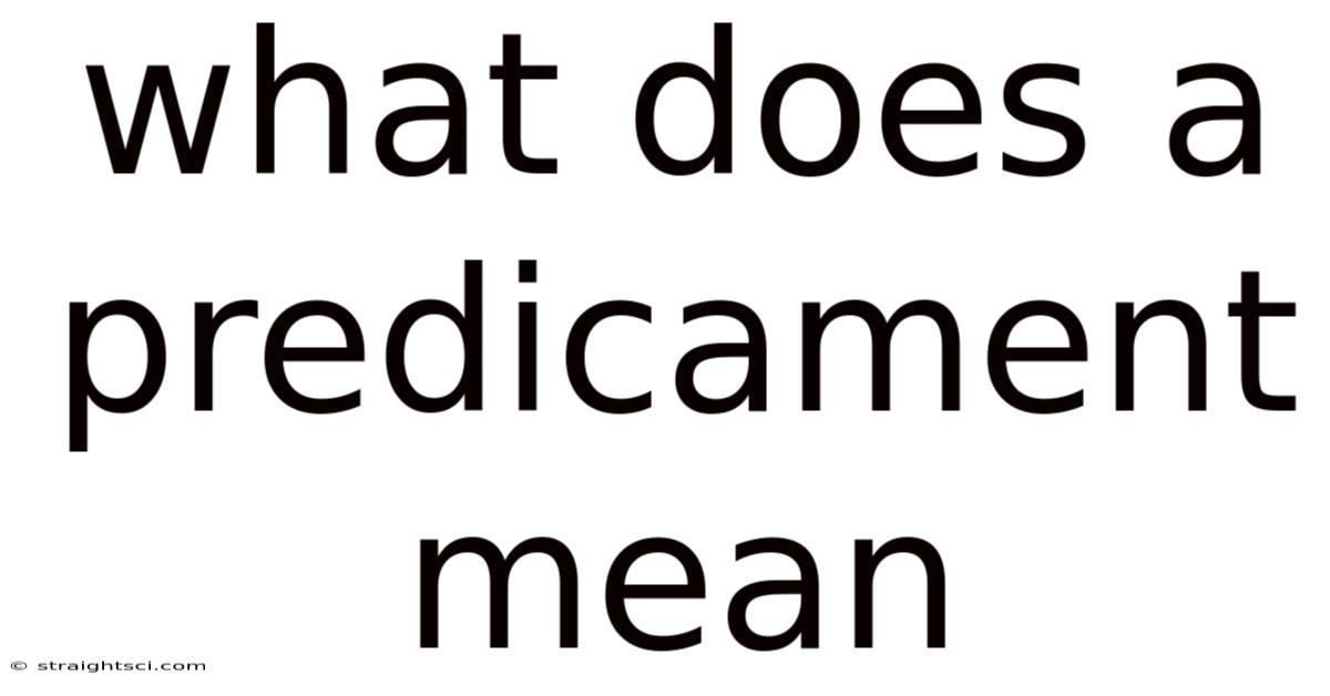 What Does A Predicament Mean