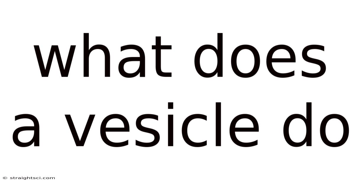 What Does A Vesicle Do