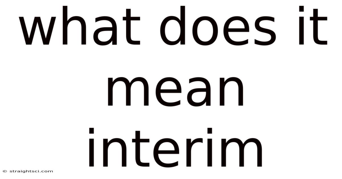 What Does It Mean Interim