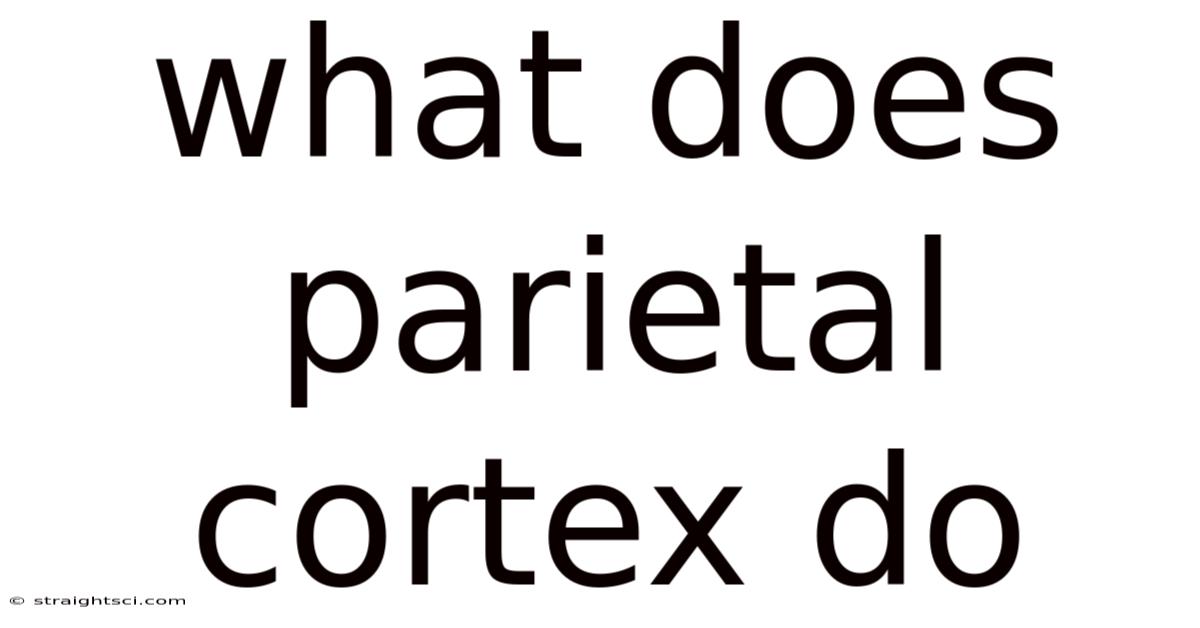 What Does Parietal Cortex Do
