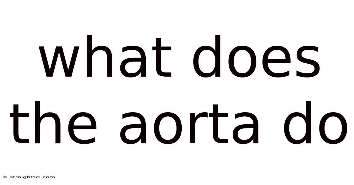 What Does The Aorta Do