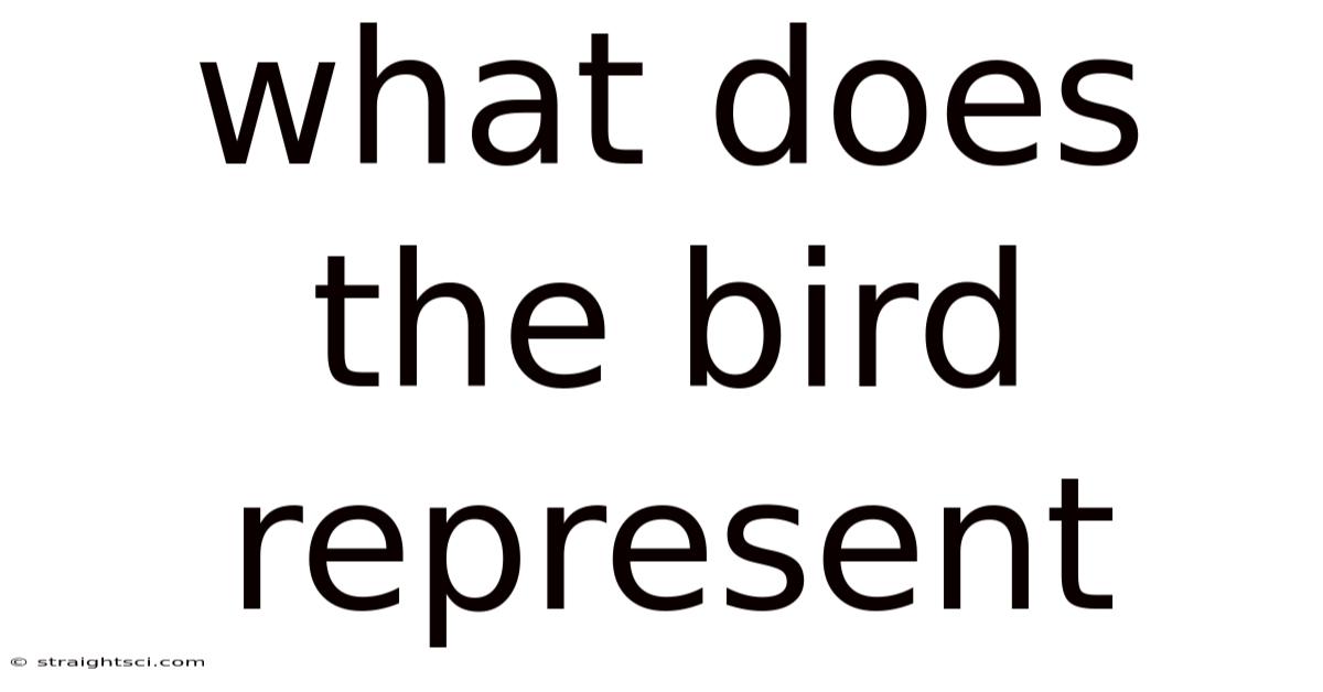 What Does The Bird Represent