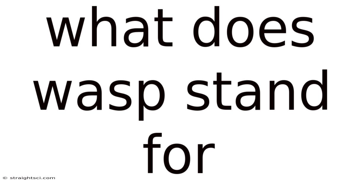 What Does Wasp Stand For