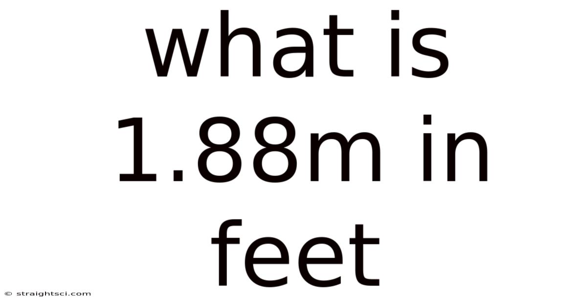 What Is 1.88m In Feet