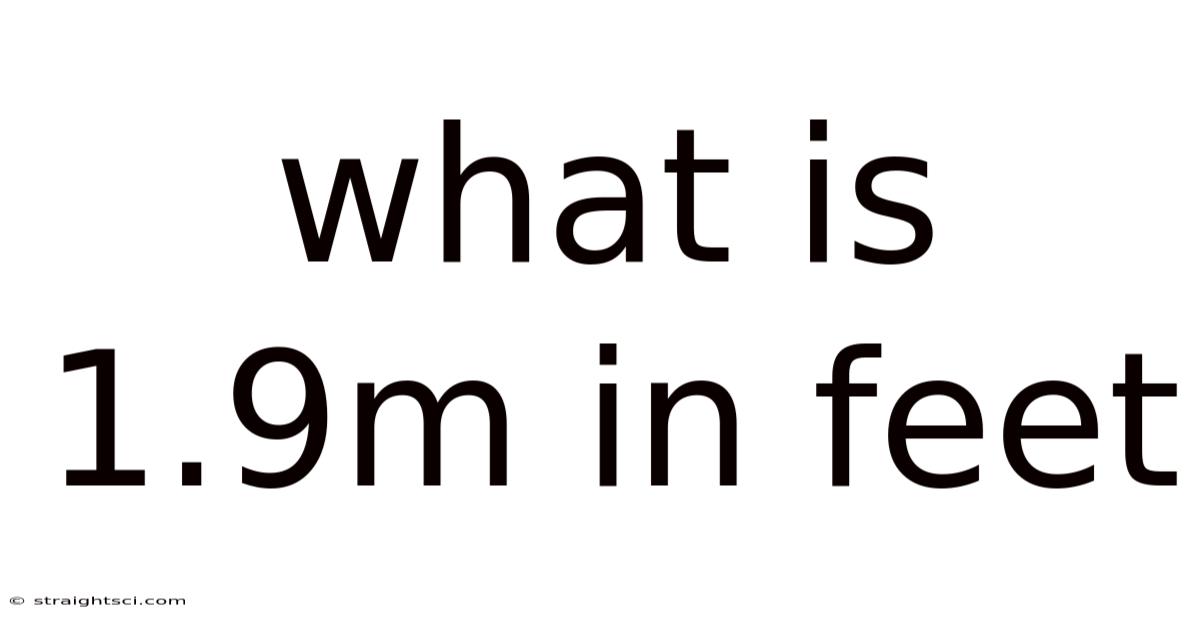 What Is 1.9m In Feet
