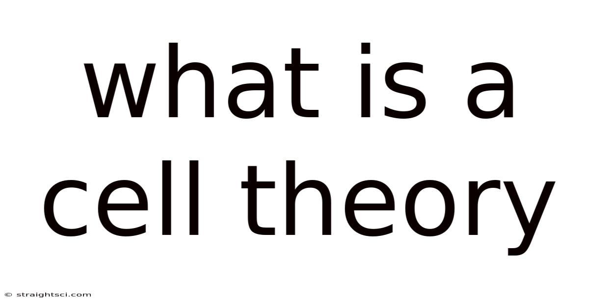What Is A Cell Theory