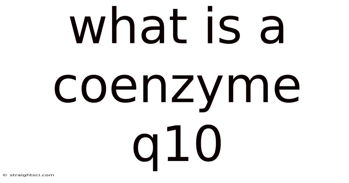 What Is A Coenzyme Q10