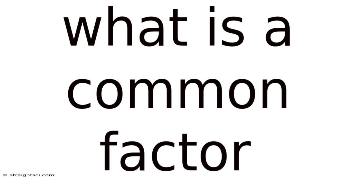 What Is A Common Factor