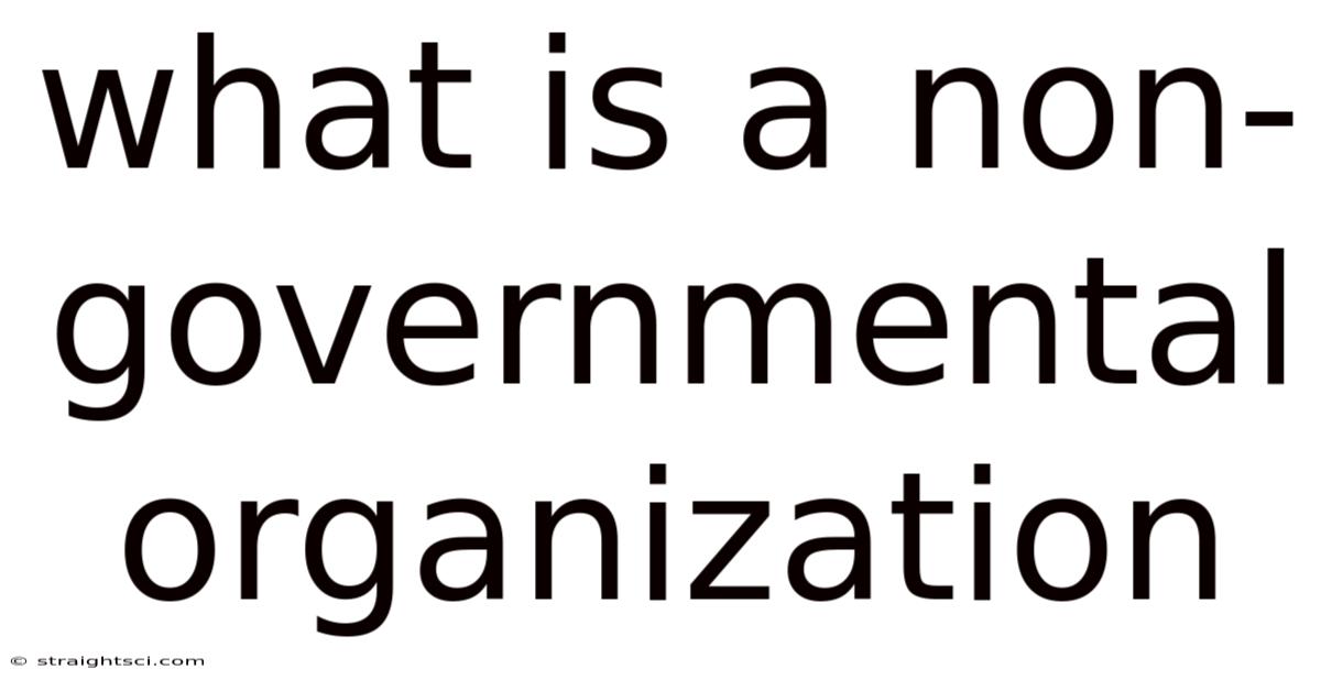 What Is A Non-governmental Organization