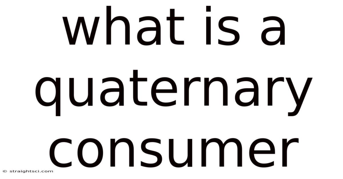 What Is A Quaternary Consumer