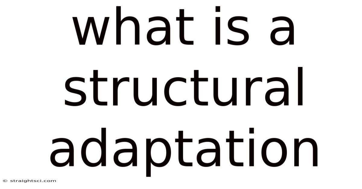 What Is A Structural Adaptation
