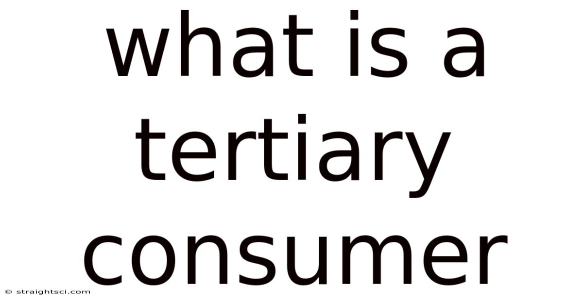 What Is A Tertiary Consumer