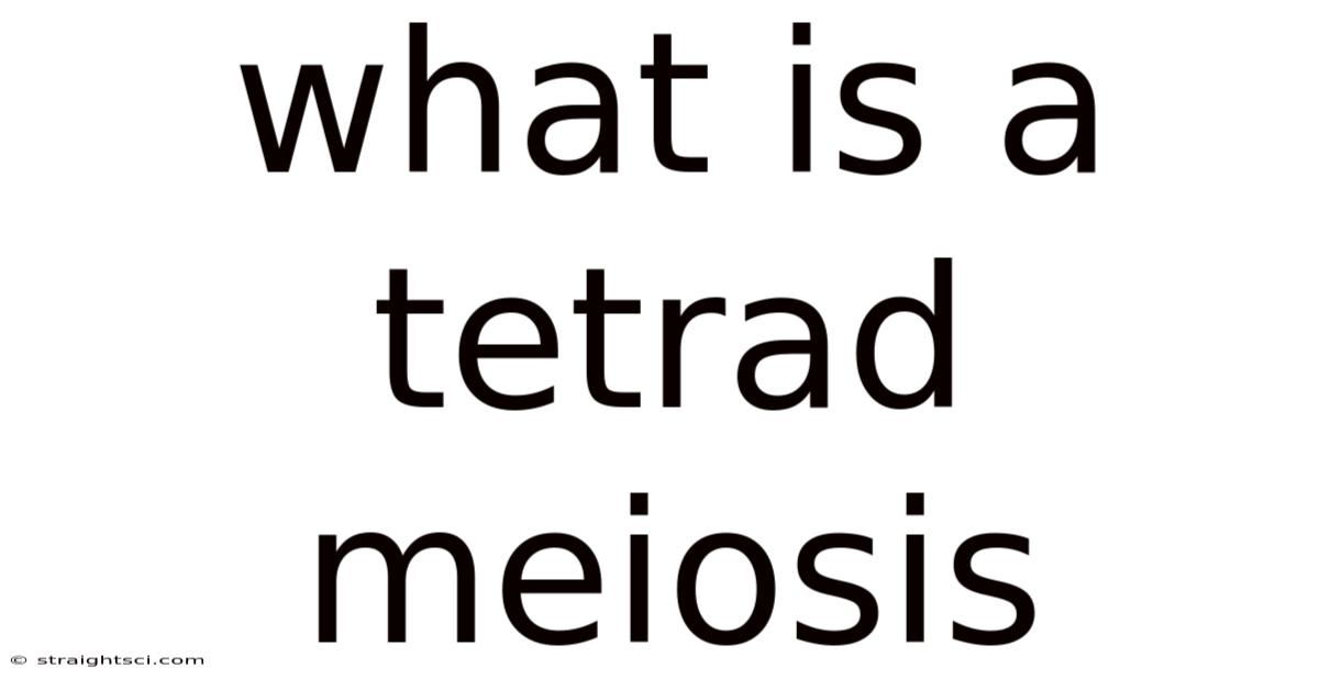 What Is A Tetrad Meiosis