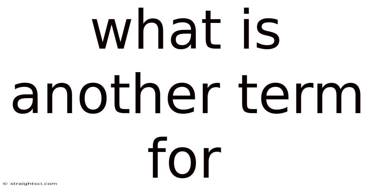 What Is Another Term For