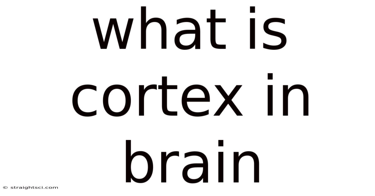What Is Cortex In Brain
