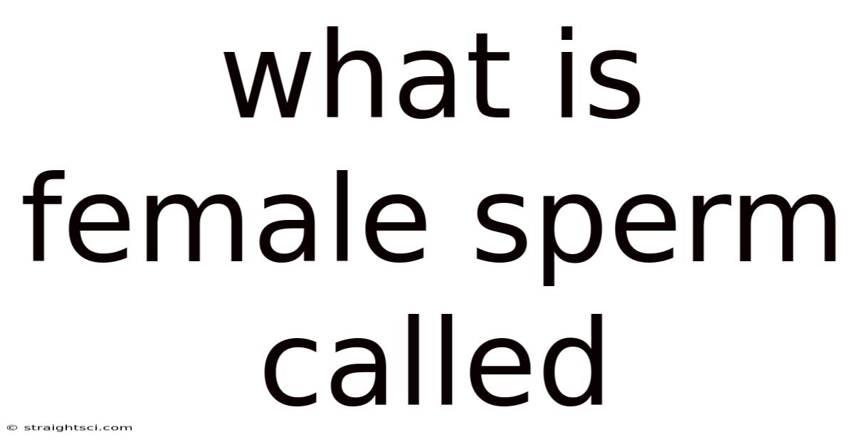 What Is Female Sperm Called