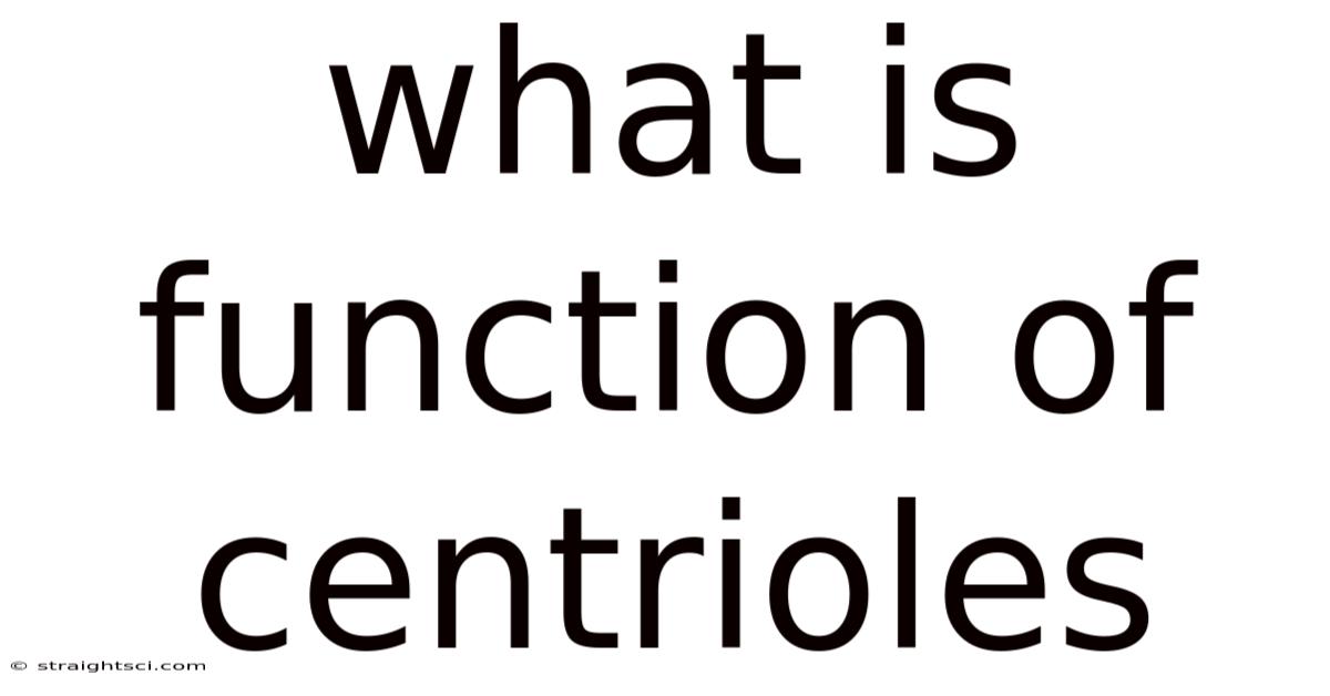 What Is Function Of Centrioles