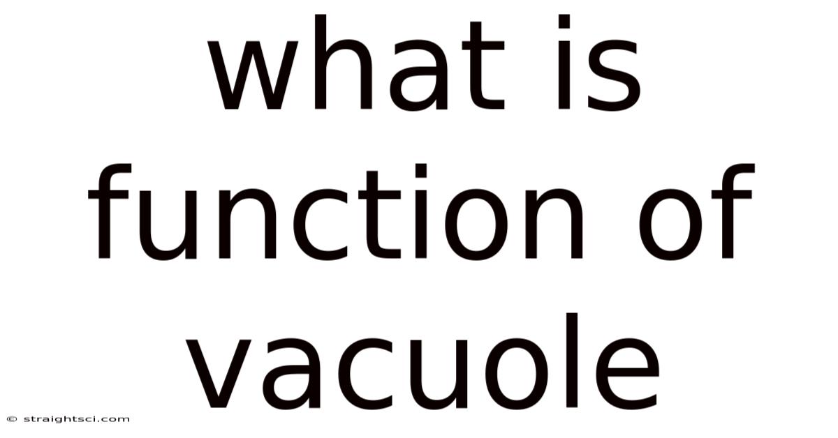 What Is Function Of Vacuole