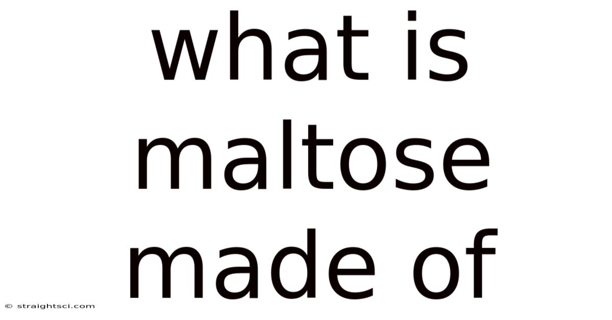 What Is Maltose Made Of