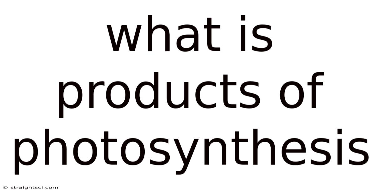 What Is Products Of Photosynthesis