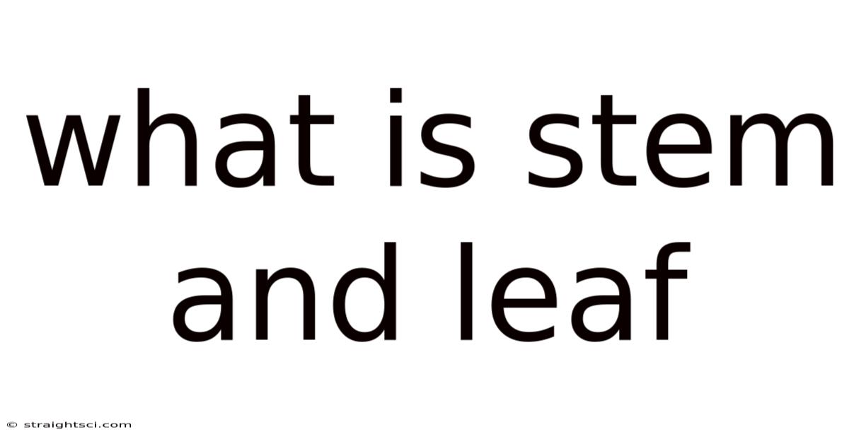 What Is Stem And Leaf