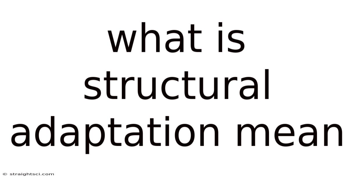 What Is Structural Adaptation Mean