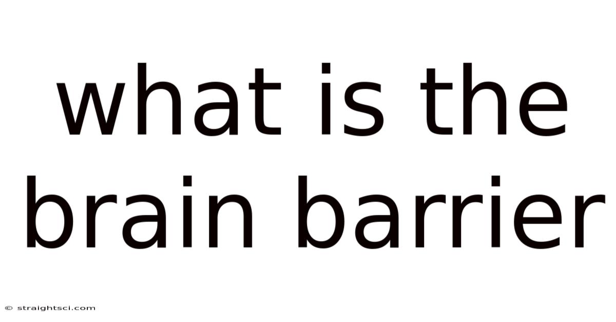 What Is The Brain Barrier