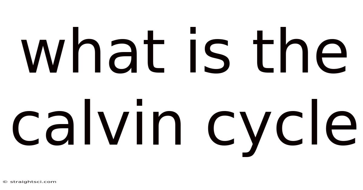 What Is The Calvin Cycle