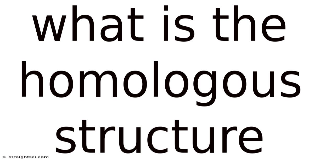 What Is The Homologous Structure