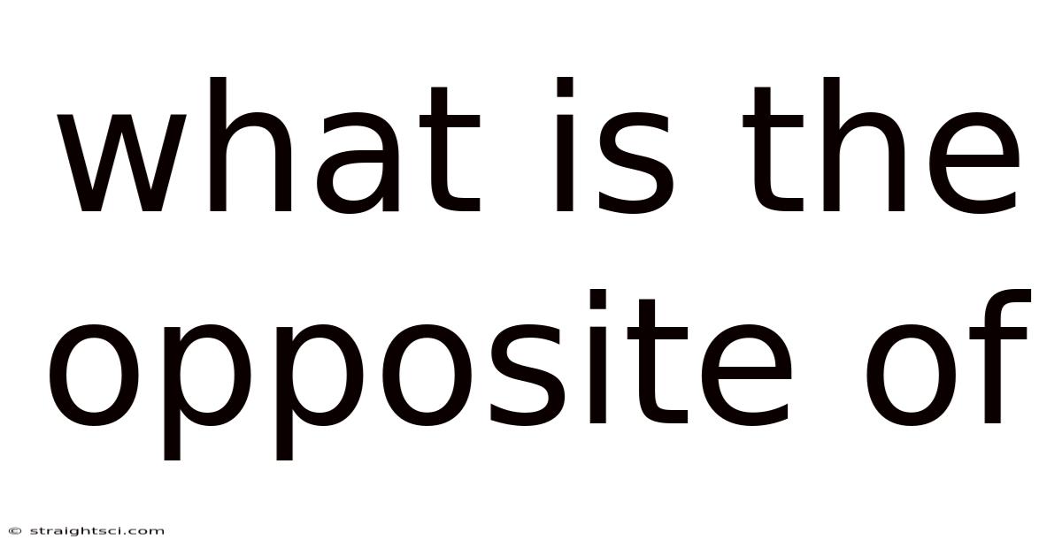 What Is The Opposite Of
