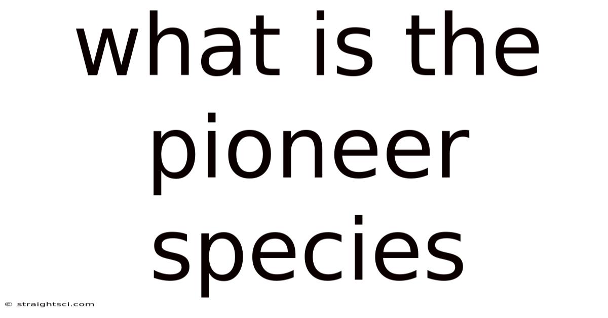 What Is The Pioneer Species