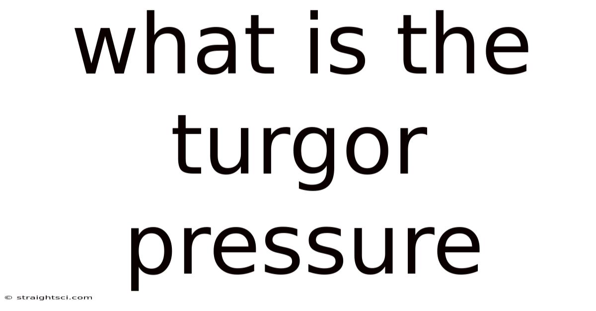 What Is The Turgor Pressure