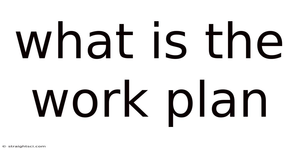 What Is The Work Plan