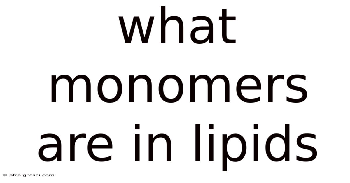 What Monomers Are In Lipids