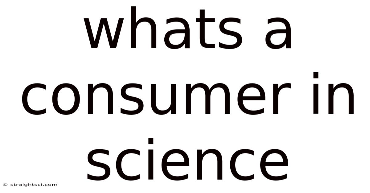 Whats A Consumer In Science