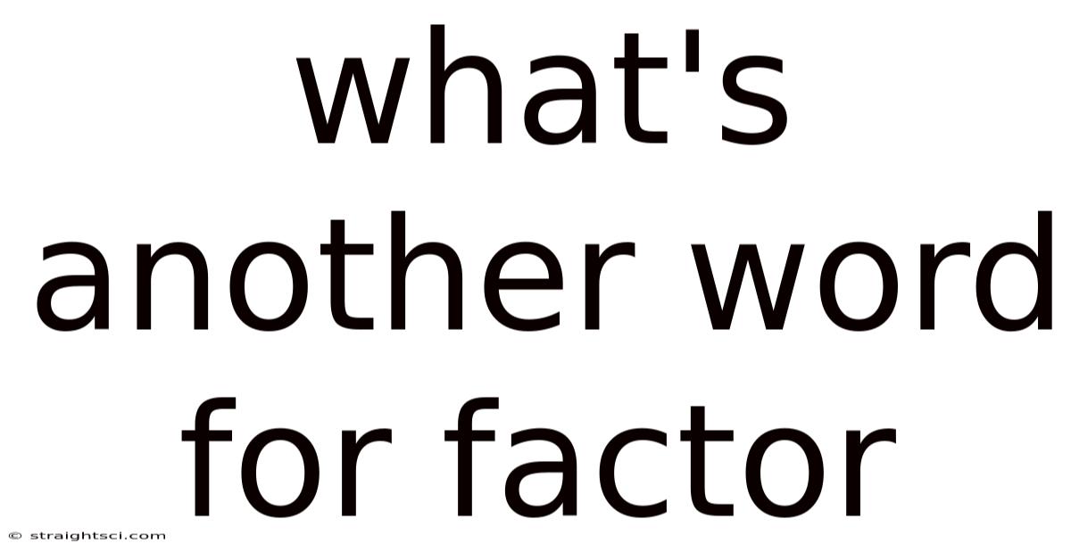 What's Another Word For Factor