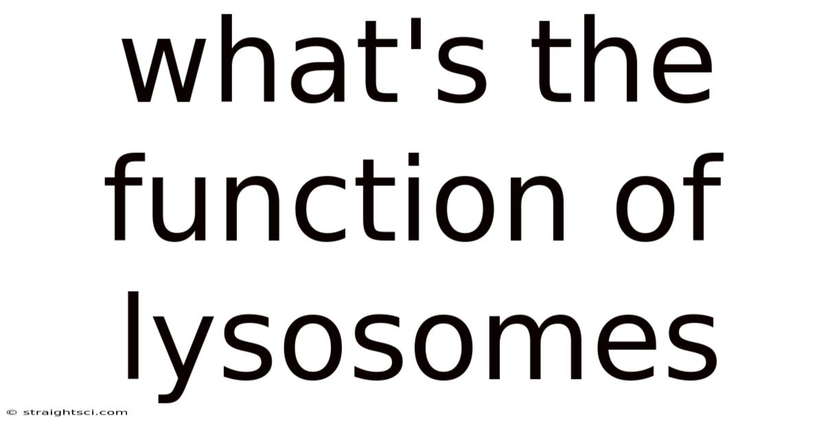 What's The Function Of Lysosomes