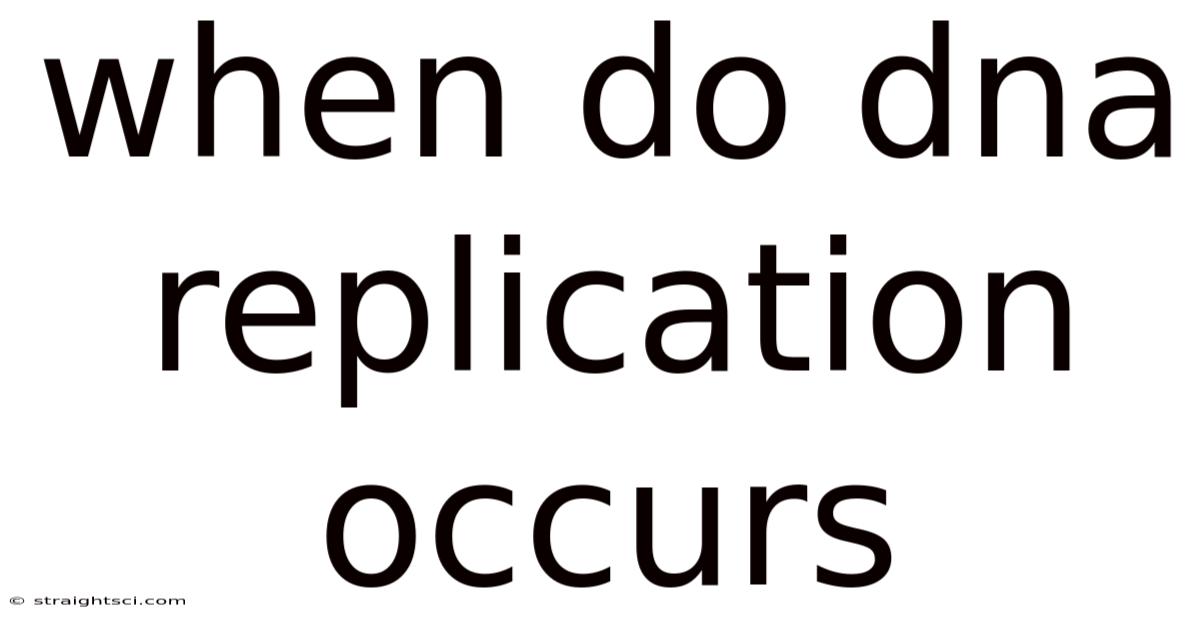 When Do Dna Replication Occurs