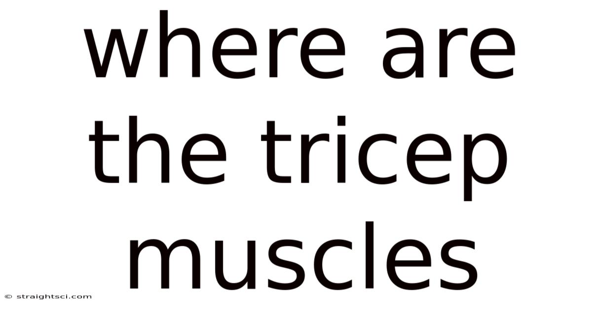 Where Are The Tricep Muscles