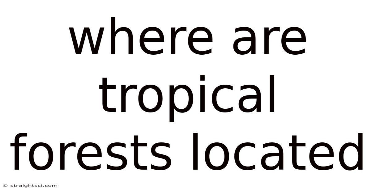 Where Are Tropical Forests Located