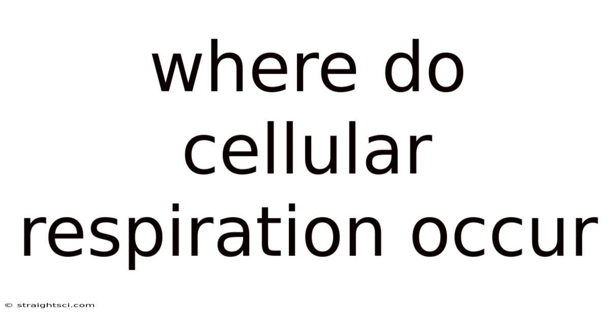 Where Do Cellular Respiration Occur