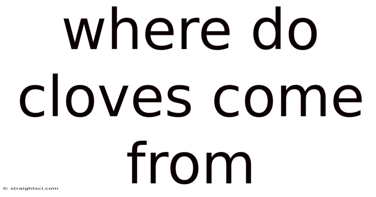 Where Do Cloves Come From