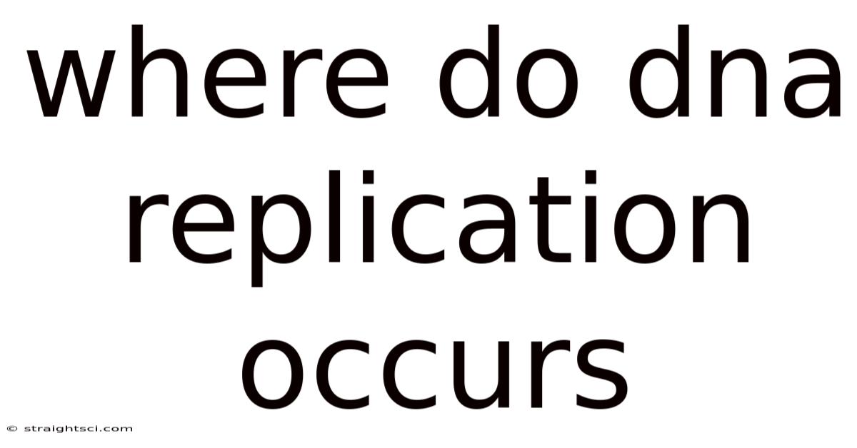 Where Do Dna Replication Occurs