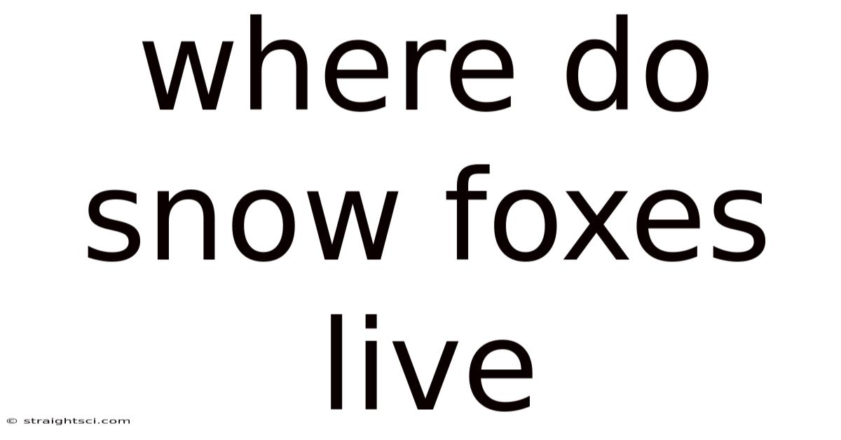 Where Do Snow Foxes Live