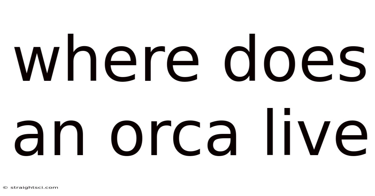 Where Does An Orca Live