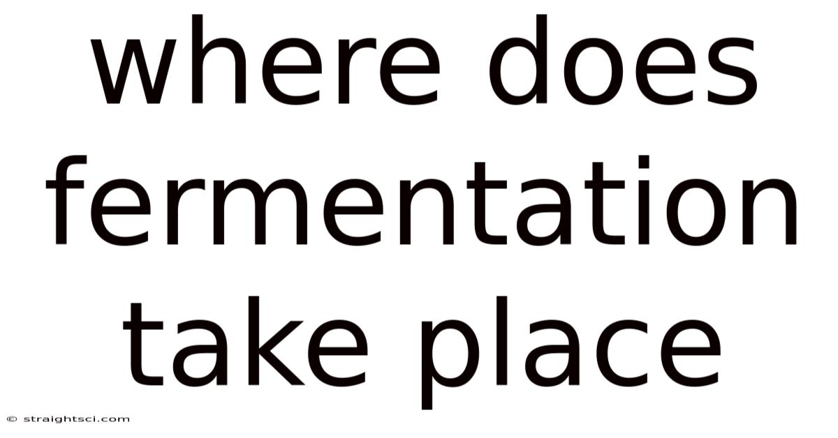 Where Does Fermentation Take Place