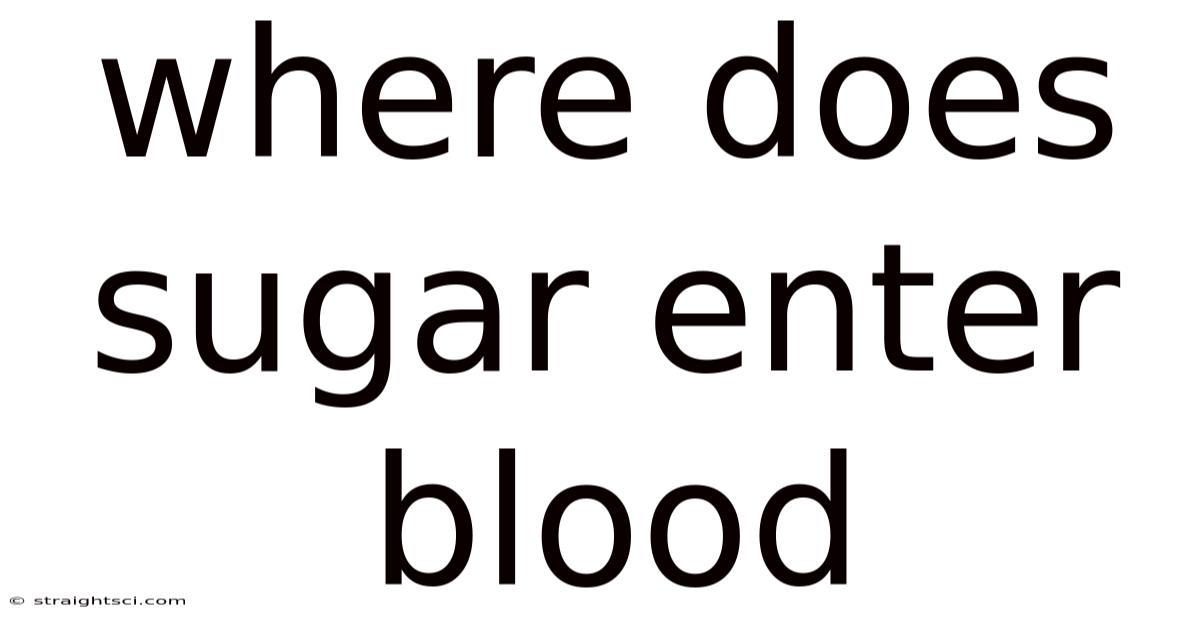 Where Does Sugar Enter Blood